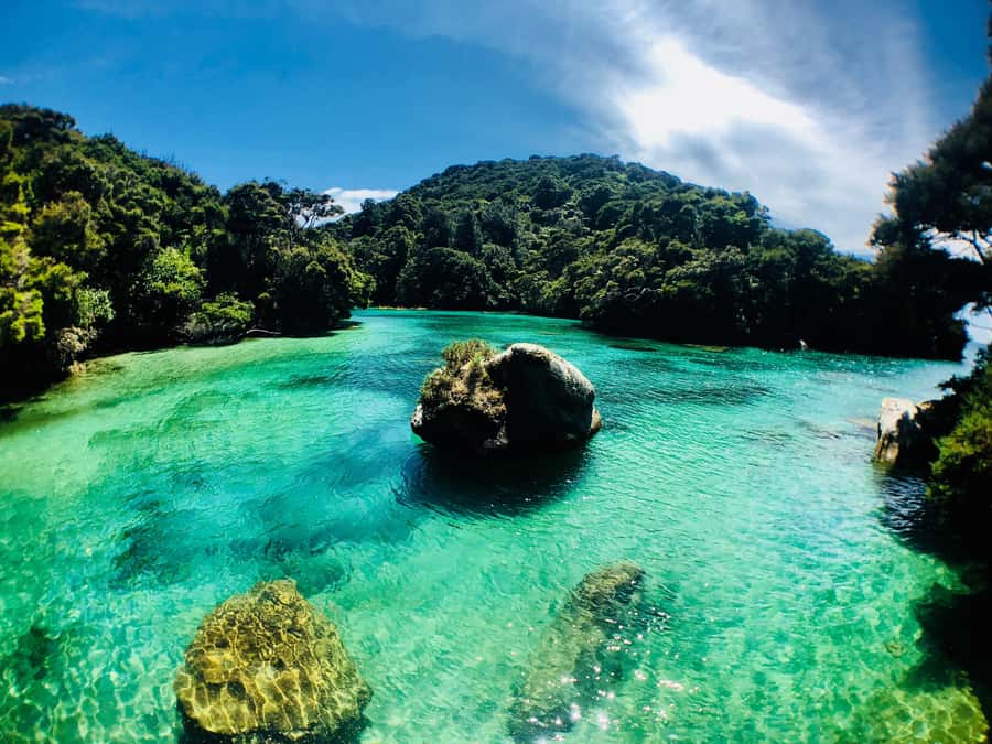 Mārahau: Abel Tasman Marine Reserve Kayak Tour - Starting at Awaroa and reaching Bark Bay