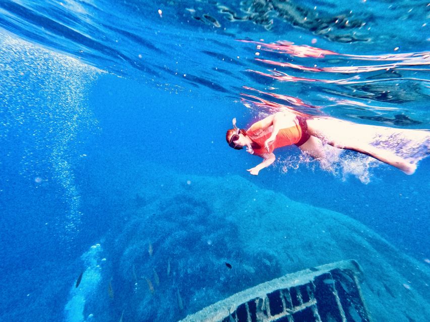 Marciana Marina: Elba Island Full-Day Kayaking Tour - Who will enjoy this Elba kayaking tour most?