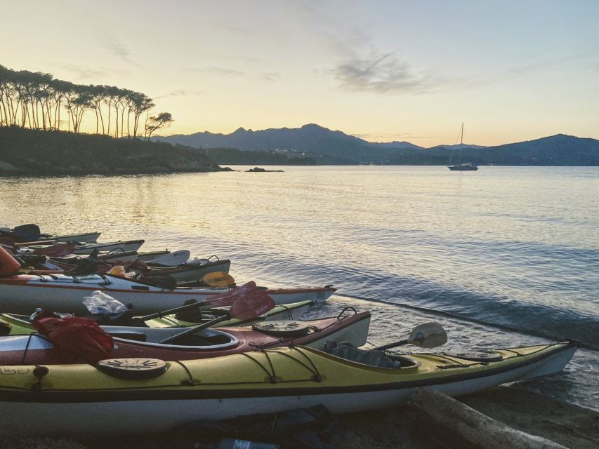 Marciana Marina: Evening Sea Kayaking Tour with Swim Stop - Why an evening paddle suits Elba