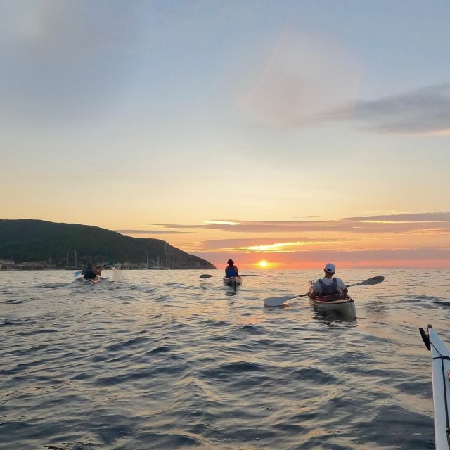 Marciana Marina: Evening Sea Kayaking Tour with Swim Stop - Paddling from Marciana Marina toward Paolina Island