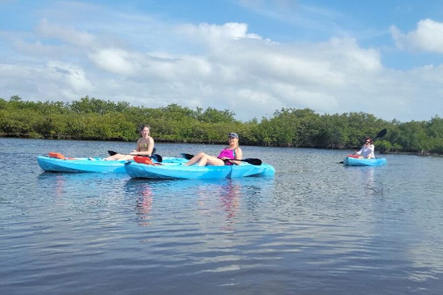 Marco Island: Guided Manatee-Watching Kayaking or SUP Tour - Pink spoonbills, pelicans, and an osprey family