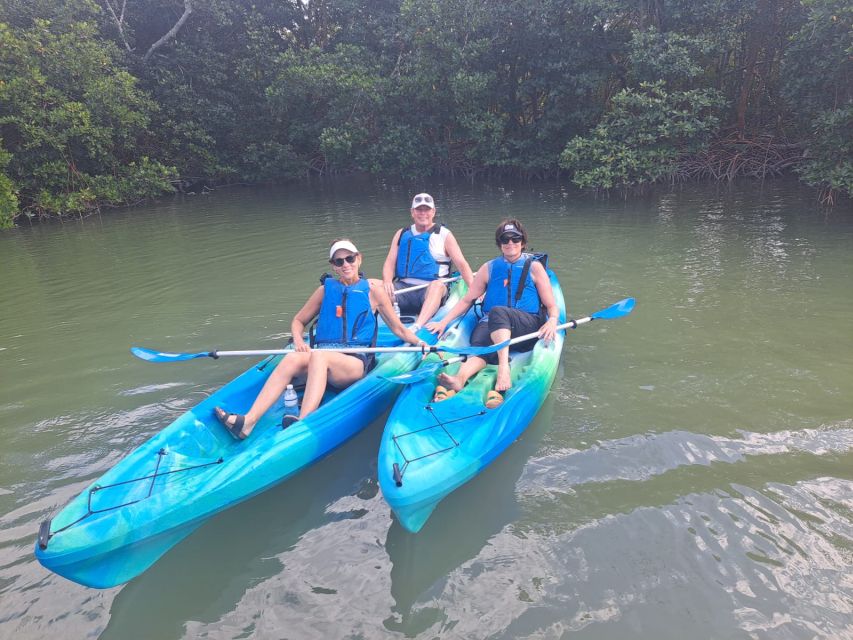 Marco Island: Kayak Mangrove Ecotour in Rookery Bay Reserve - Key points to know before you book
