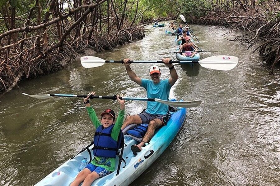 Marco Island: Kayak Mangrove Ecotour in Rookery Bay Reserve - Paddling into the mangrove passages