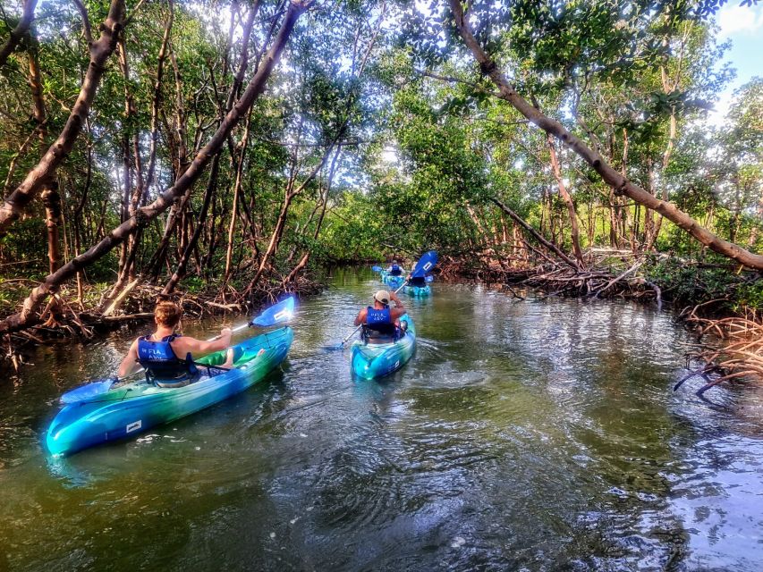 Marco Island: Kayak Mangrove Ecotour in Rookery Bay Reserve - Is $85 a fair price?