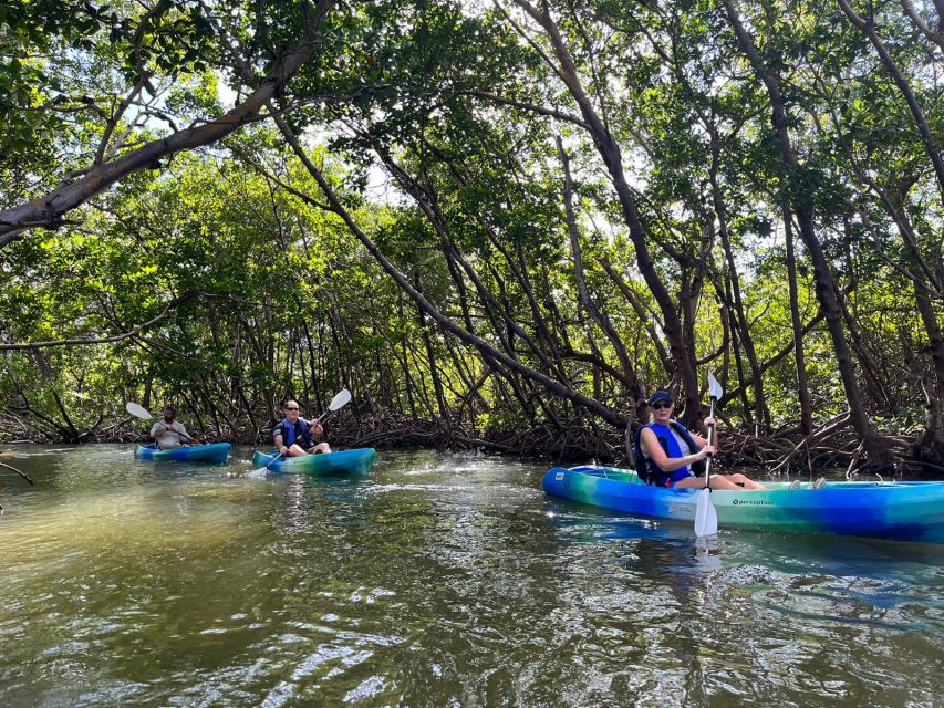 Marco Island: Kayak Mangrove Ecotour in Rookery Bay Reserve - Who will enjoy this two-hour paddle most?