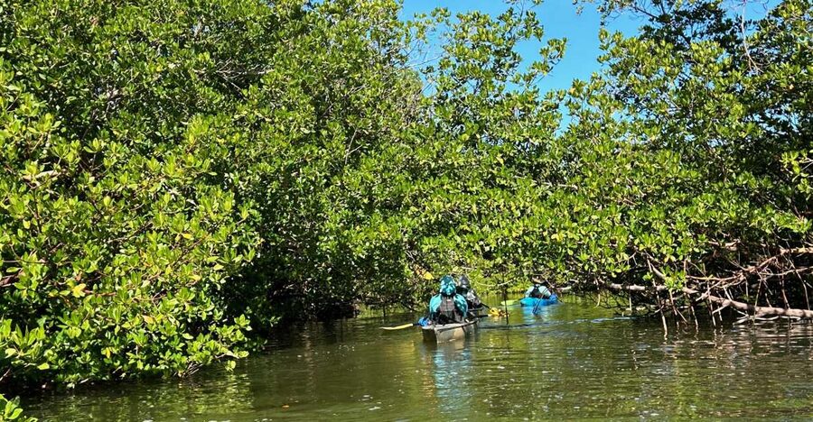 Marco Island: Mangrove Maze Kayak Tour (2hrs) - Starting beside the blue Shurr Adventures van