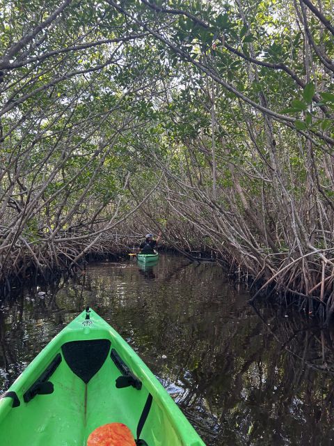 Marco Island: Mangrove Maze Kayak Tour (2hrs) - Wildlife watching, with realistic expectations