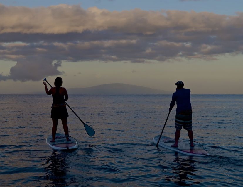 Maui: Beginner Level Private Stand-Up Paddleboard Lesson - Family Options for Children Age Three and Older