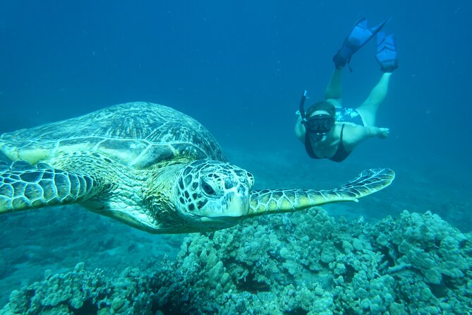 Maui Clear Kayak and Snorkel Tour: Swim with turtles (Makena) - How the guides shape the morning