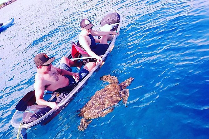 Maui Clear Kayak and Snorkel Tour: Swim with turtles (Makena) - What the $130 price really covers