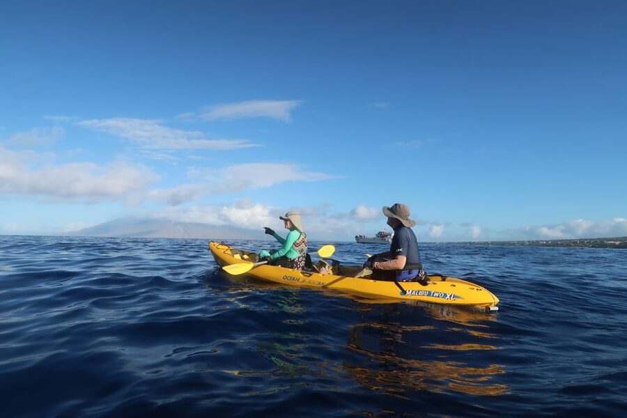 Maui: Turtle Town Kayak and Snorkel Tour - Quick takeaways