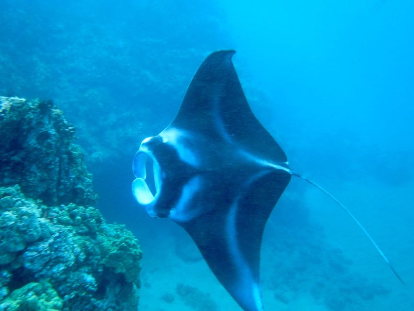 Maui: Turtle Town Kayak and Snorkel Tour - Getting comfortable before the paddle