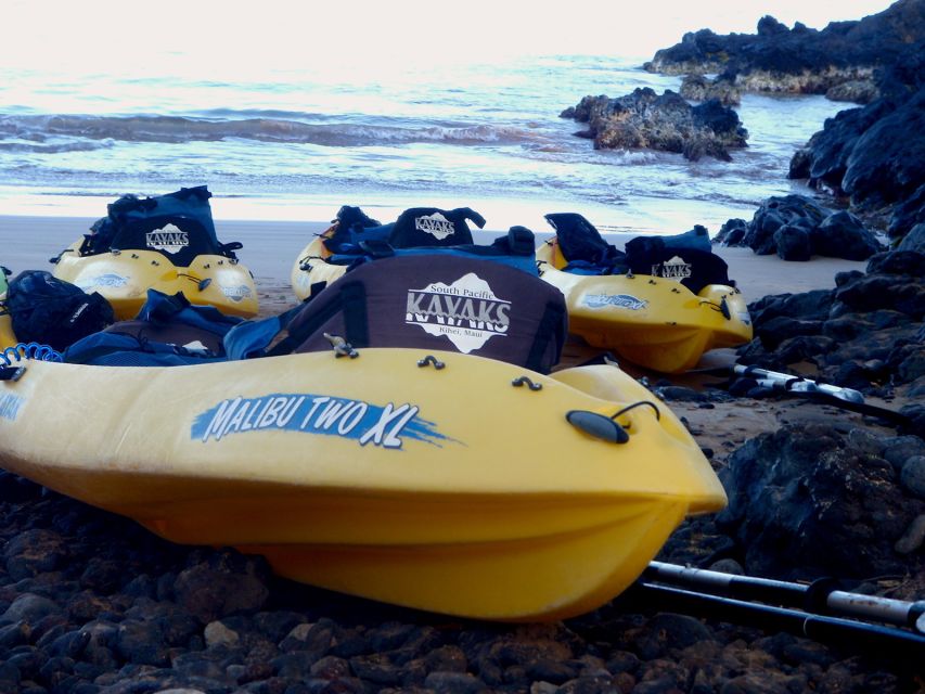 Maui: Turtle Town Kayak and Snorkel Tour - Whale season from late December through mid-April