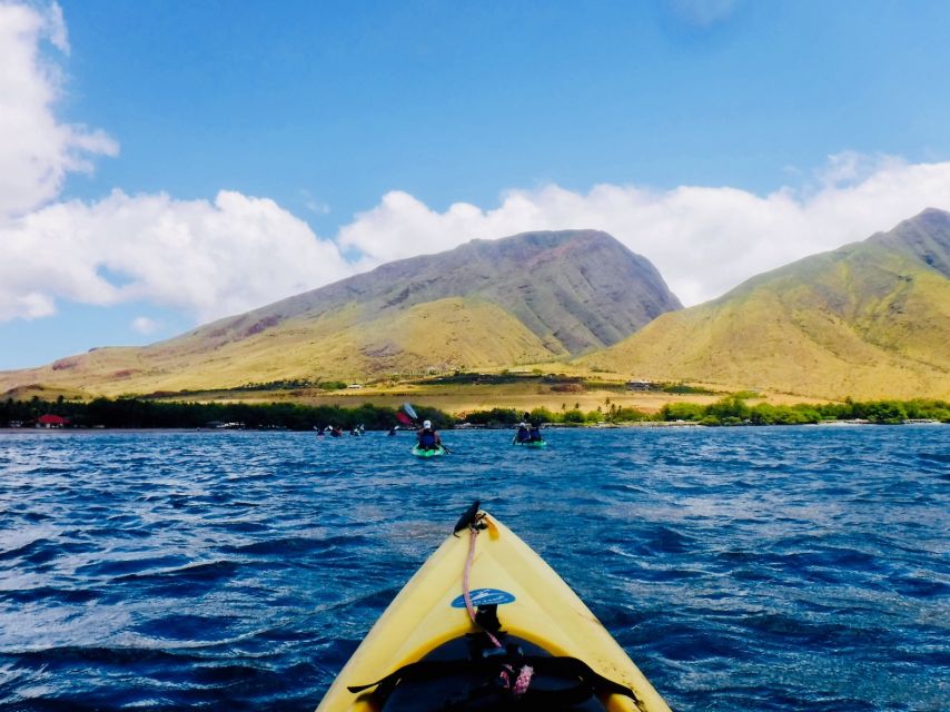 Maui: West Side Discovery Kayak & Snorkel from UKUMEHAME - Whale watching from late December through April