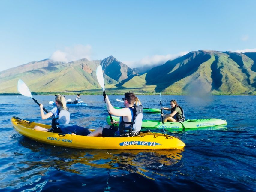 Maui: West Side Discovery Kayak & Snorkel from UKUMEHAME - Who should book this morning on the water?