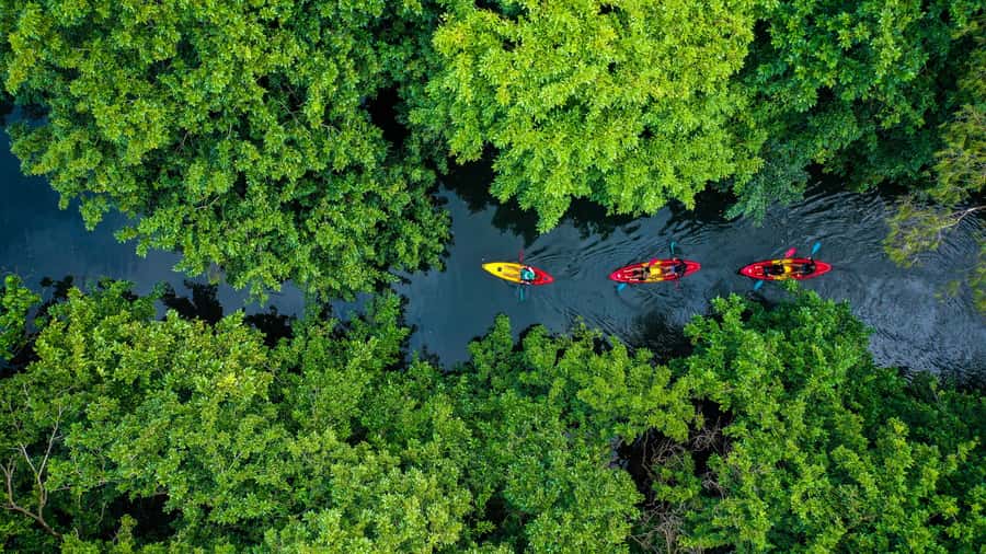 Mauritius: Guided Kayak Tour on Tamarin River - Key points at a glance