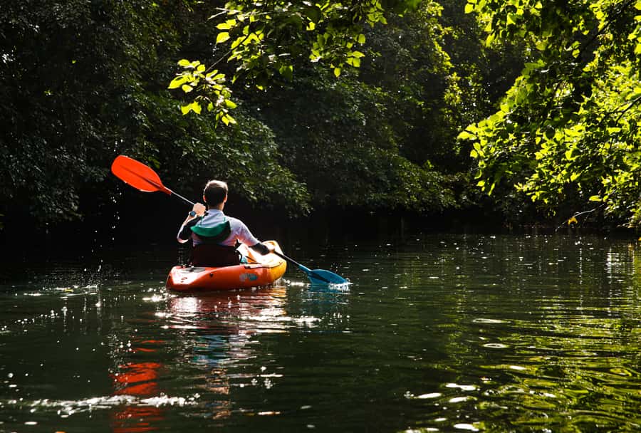 Mauritius: Guided Kayak Tour on Tamarin River - Starting beside Tamarin Bay and the famous wave
