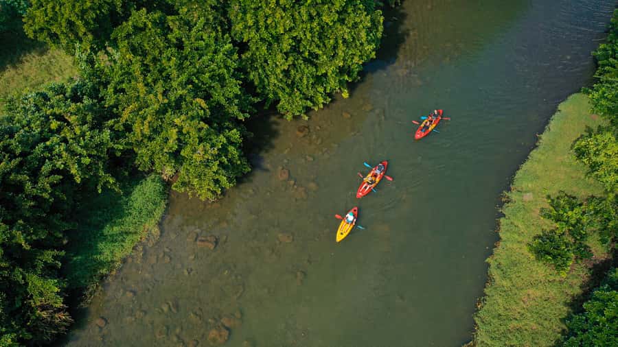 Mauritius: Guided Kayak Tour on Tamarin River - Practical details before you book