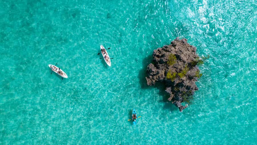 Mauritius: Guided Kayak tour to Benitiers Island - A water-level view of Mauritius’s southwest coast