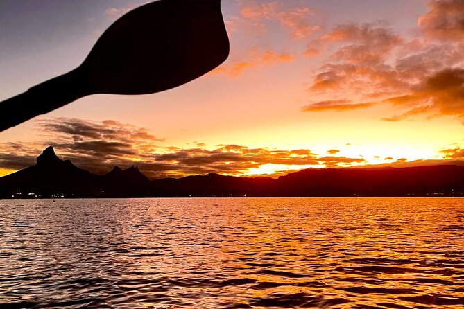 Mauritius: Guided Sunrise Kayak Tour on the Tamarin River - Wildlife, birds, and the quieter side of Tamarin