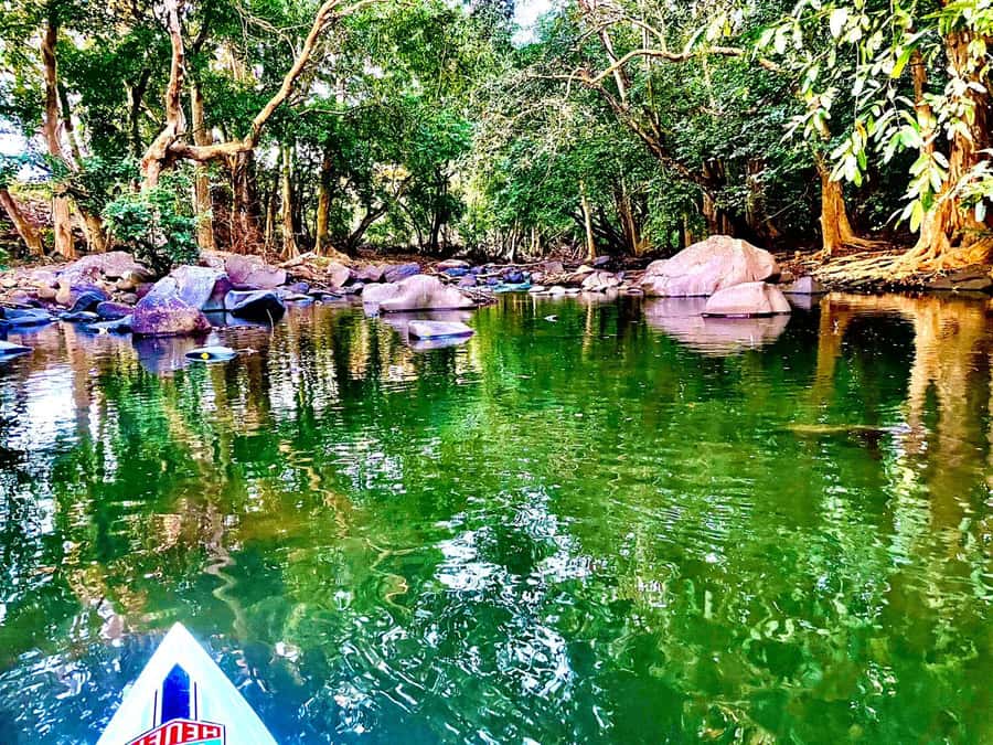 Mauritius: River Guided Kayak Tour with Monkeys - What the three-hour schedule feels like
