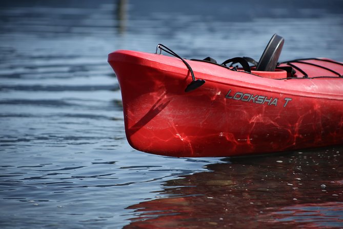 Mendenhall Glacier View Sea Kayaking - What the $159 price includes