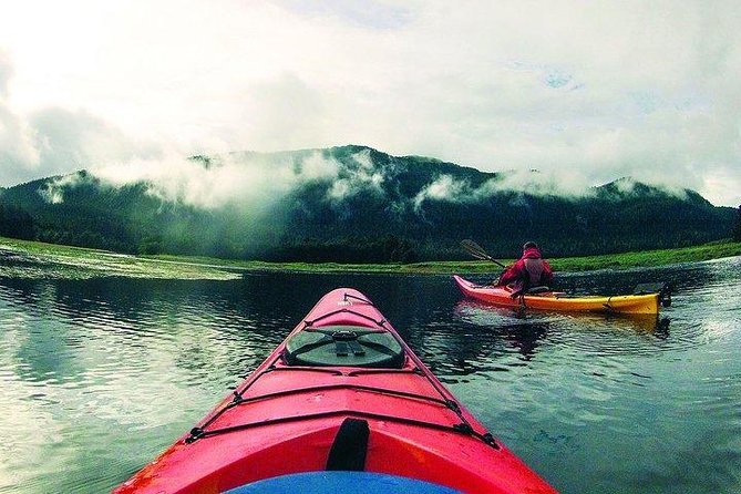 Mendenhall Glacier View Sea Kayaking - Learning the strokes before leaving shore