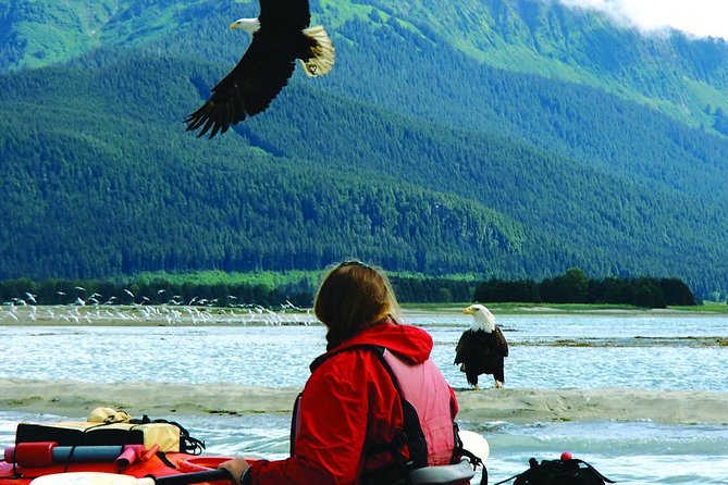 Mendenhall Glacier View Sea Kayaking - Snacks, cider, and the ride back