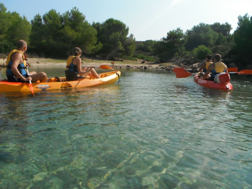 Menorca: Half-Day Kayak Excursion in Fornells - A Beach Pause in Menorca