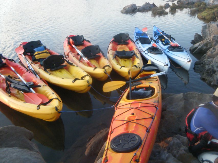 Menorca: Half-Day Kayak Excursion in Fornells - Entering the Cave of the English Man
