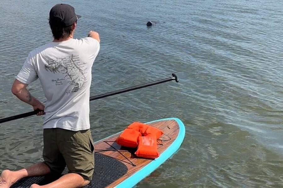 Merritt Island: Manatee Watching Paddle or Kayak Tour - Key points before you paddle