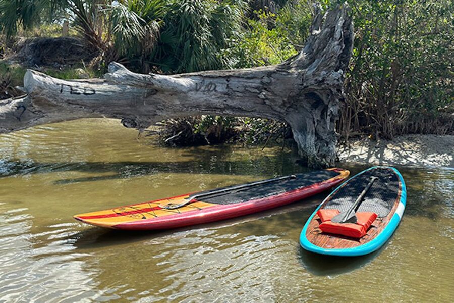 Merritt Island: Manatee Watching Paddle or Kayak Tour - My verdict: a worthwhile short nature outing