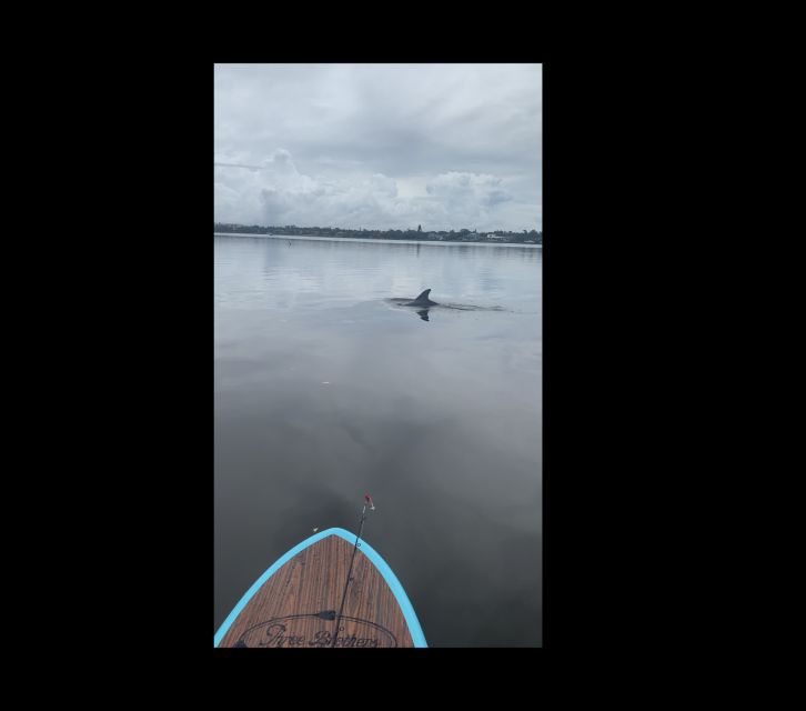 Merritt Island: Manatee Watching Paddle or Kayak Tour - What the guide adds for $65