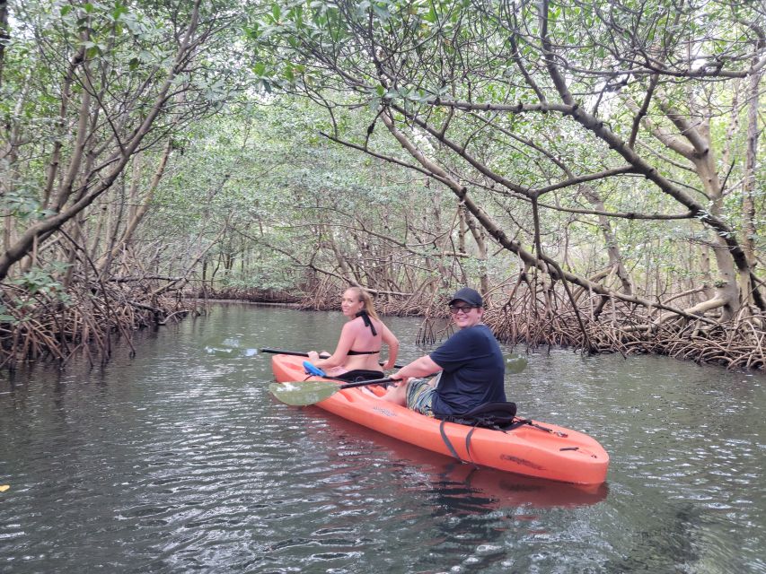 Miami: Beginner-Friendly Island Snorkeling by SUP or Kayak - Key points before you book
