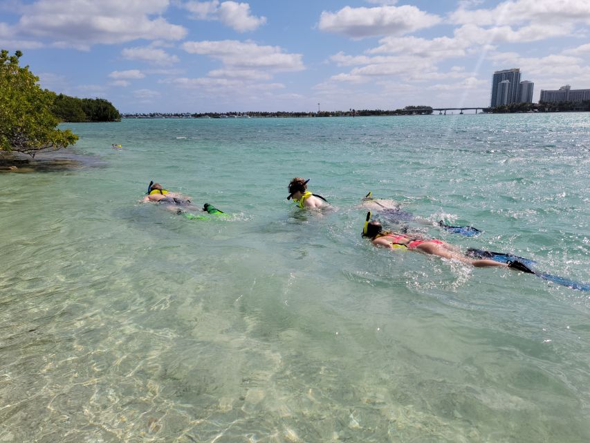 Miami: Beginner-Friendly Island Snorkeling by SUP or Kayak - Who should book this Miami water adventure?