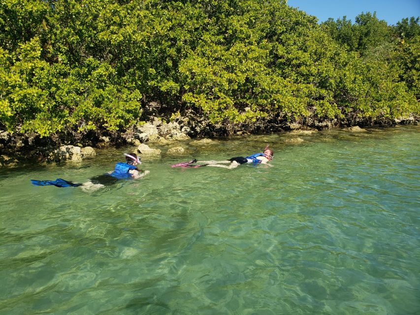 Miami: Beginner-Friendly Island Snorkeling by SUP or Kayak - The lesson makes the first paddle less intimidating