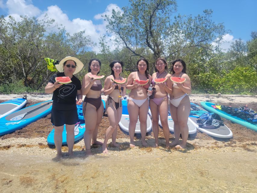 Miami: Beginner-Friendly Island Snorkeling by SUP or Kayak - Mangroves bring the best wildlife encounters