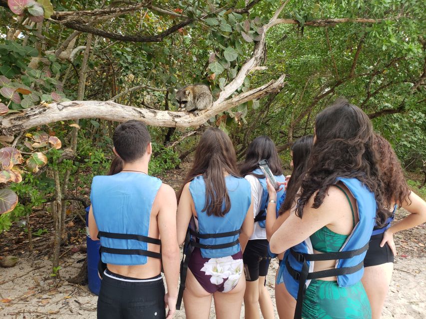 Miami: Beginner-Friendly Island Snorkeling by SUP or Kayak - Starting at Bill Baggs Marina