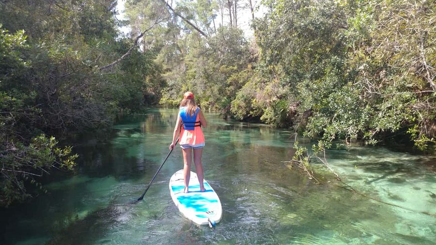 Miami: Biscayne Bay Ultimate Boat Tour with Kayak Experience - Key things to know before booking