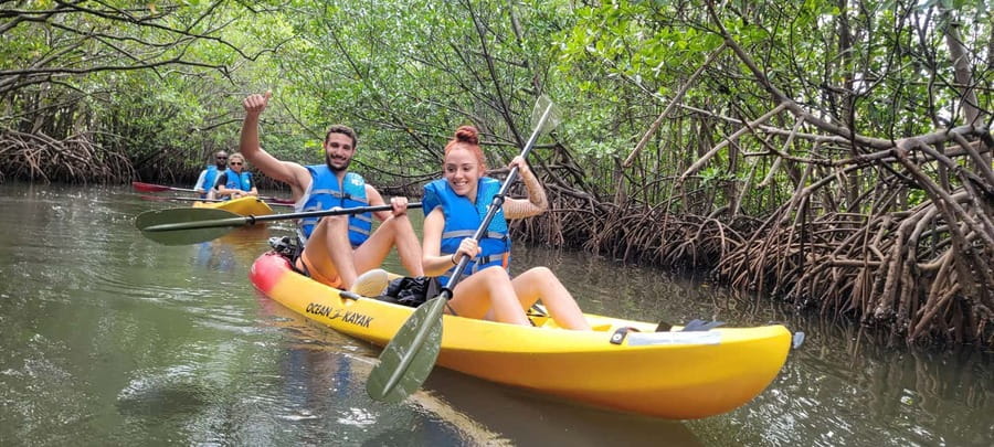 Miami: Biscayne Bay Ultimate Boat Tour with Kayak Experience - Bird Island and Miami’s billionaire waterfront