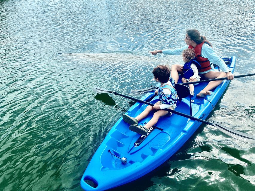 Miami: Manatee Season Paddleboard or Kayak Tour - Starting at Virginia Key Beach Park