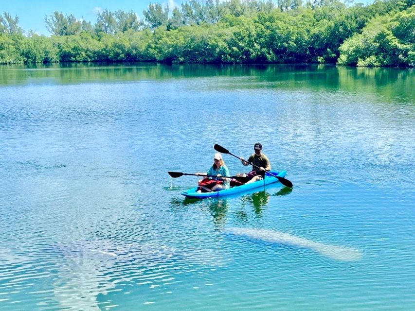 Miami: Manatee Season Paddleboard or Kayak Tour - The $85 price: fair for wildlife, less so for a short outing