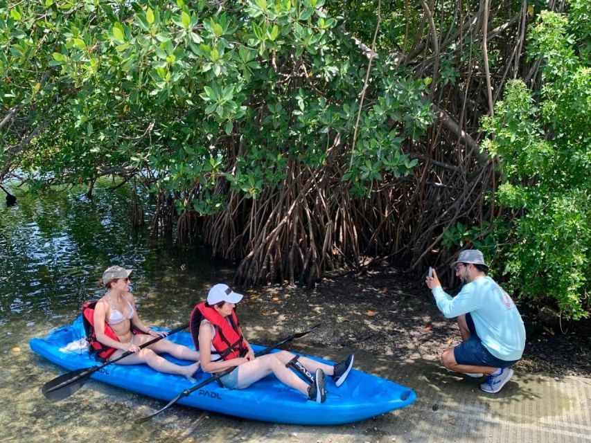 Miami: Manatee Season Paddleboard or Kayak Tour - What to bring and how to prepare