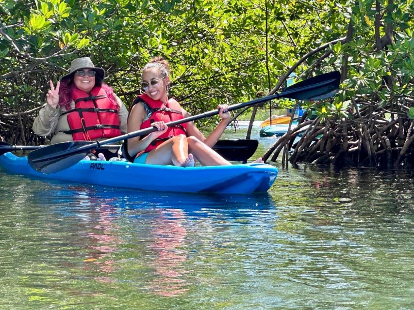 Miami: Paddle Board or Kayak Rental in Virginia Key - Key points to know before you go