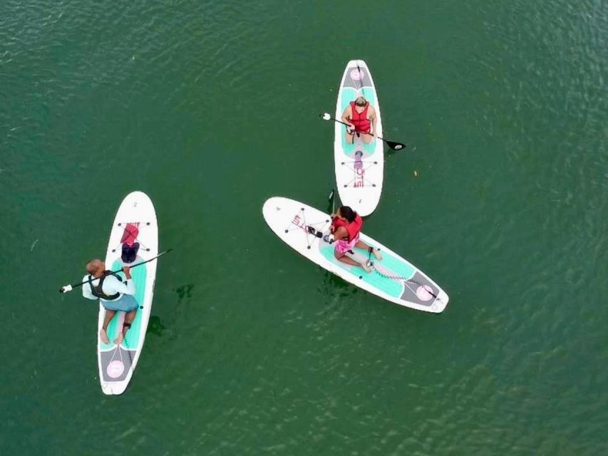 Miami: Paddle Board or Kayak Rental in Virginia Key - Why this short Virginia Key outing is worth your time