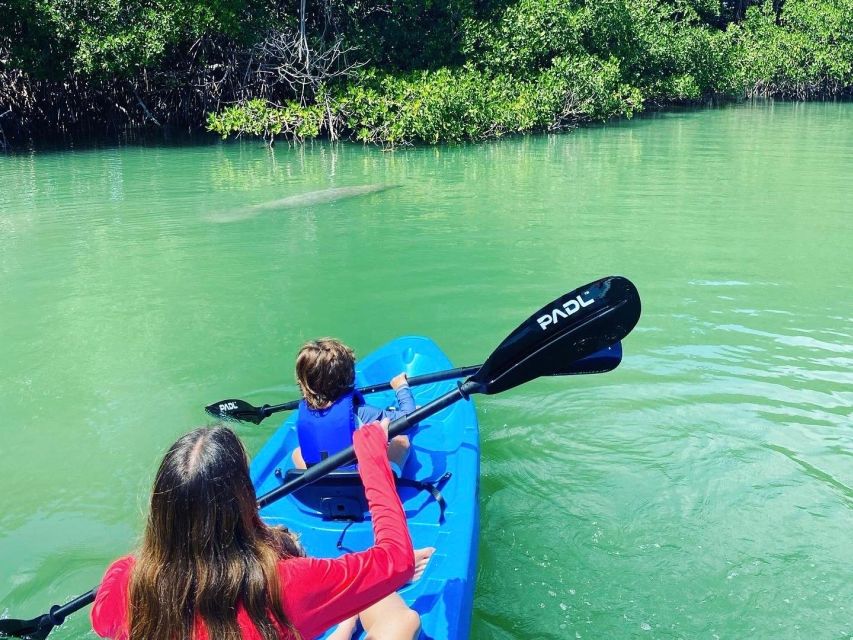 Miami: Paddle Board or Kayak Rental in Virginia Key - The safety briefing and equipment choice