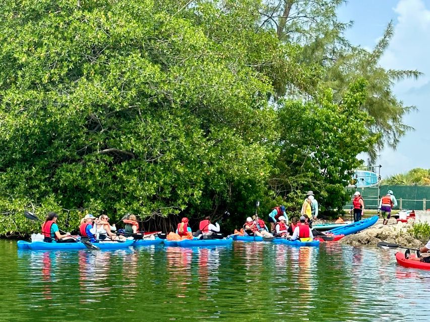 Miami: Paddle Board or Kayak Rental in Virginia Key - Wildlife depends on the month and your luck
