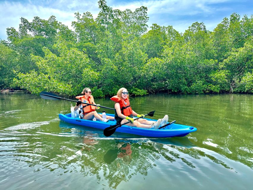Miami: Paddle Board or Kayak Rental in Virginia Key - One hour is enough for a taste, not a full day