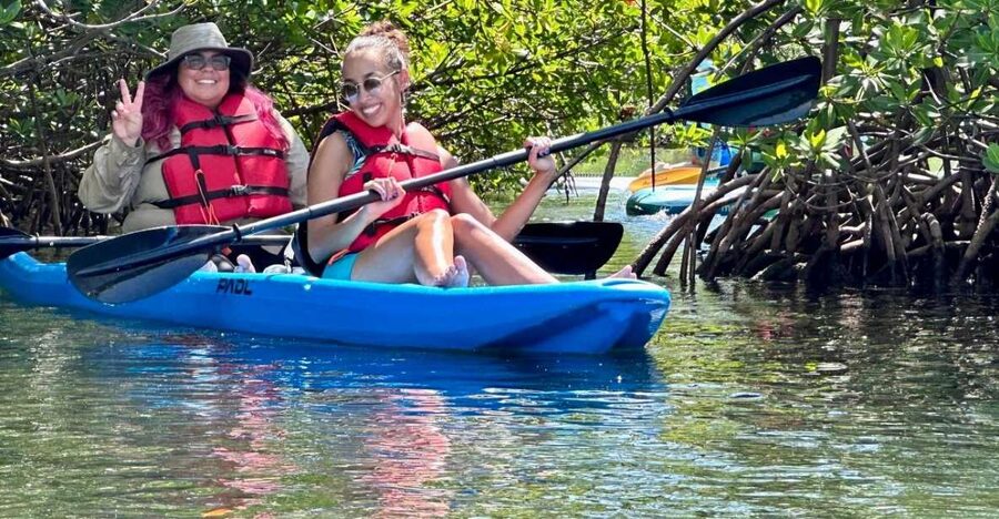 Miami: Paddle Board or Kayak Rental in Virginia Key - What to bring for a more comfortable paddle