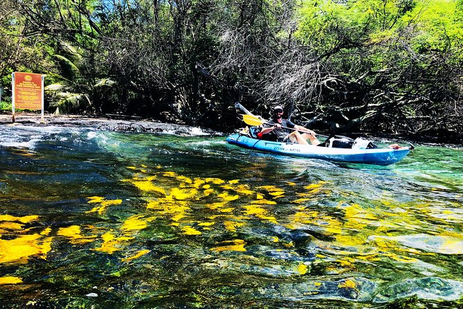 Midday Meander - Kealakekua Bay Kayak and Snorkel Adventure - Meeting at Kona Boys and getting ready